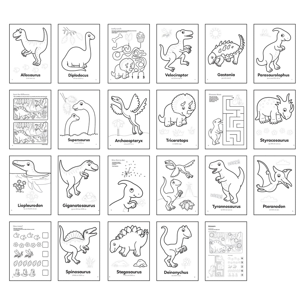 Dinosaur Colouring Book